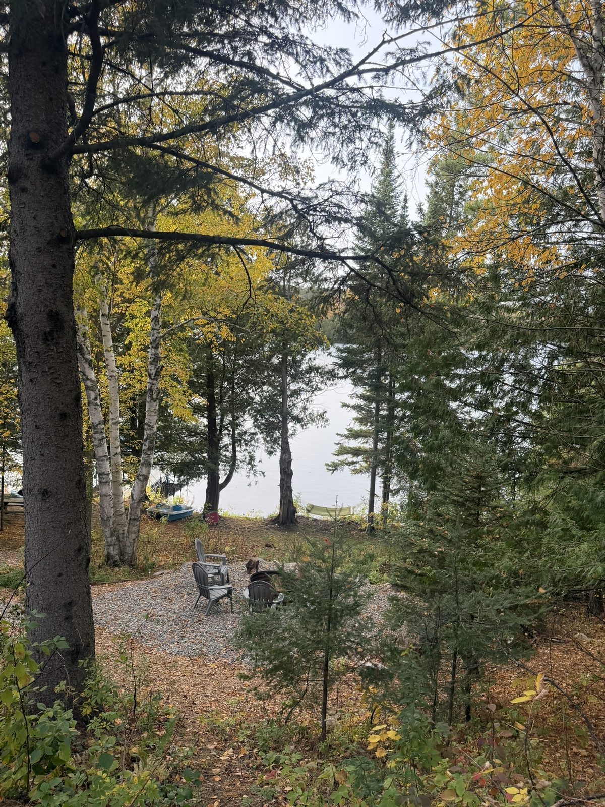 Fire pit and lakeshore