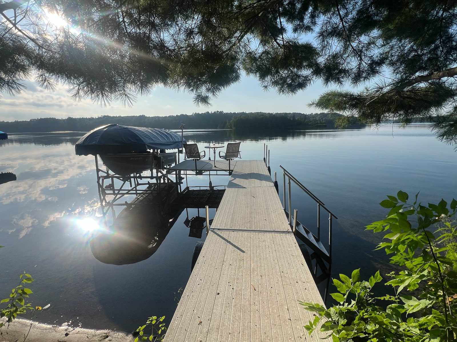 Dock under the pines