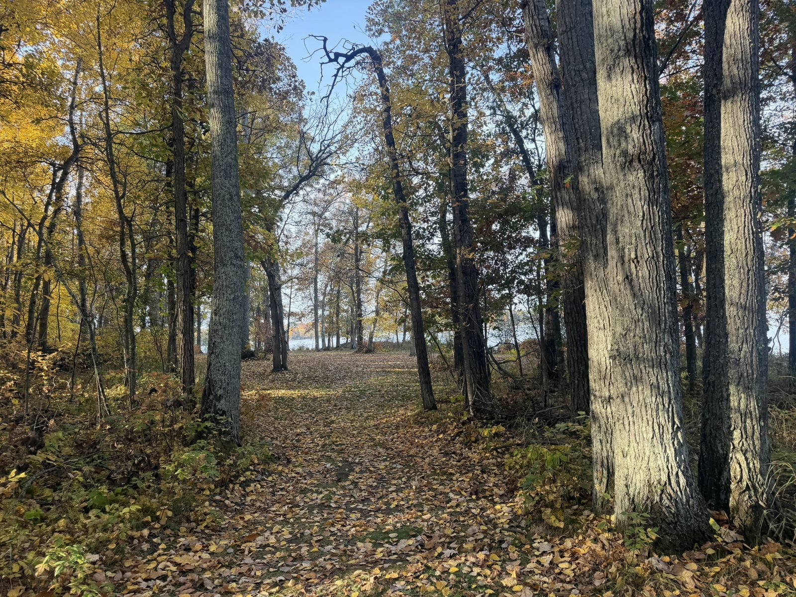Fall colors on the way to the lake